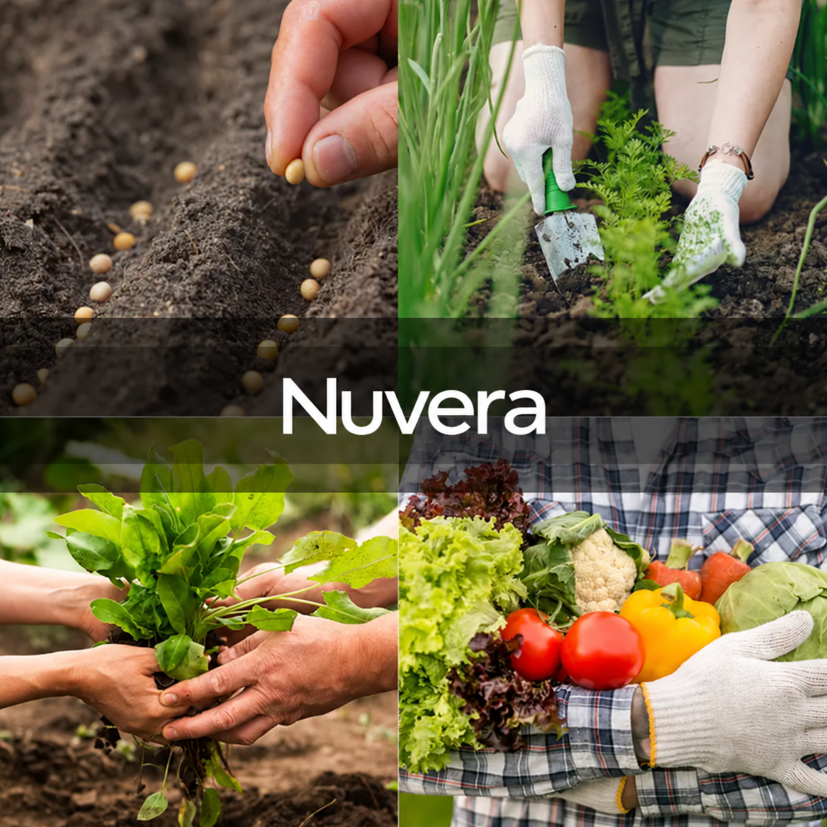 Nuteva® Seed Vault Kit - 35 Variety Pack